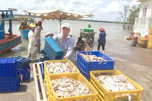 Nhanh chóng khai thác cơ hội từ EVFTA