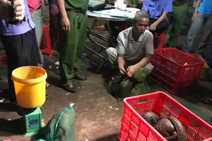 Lực lượng chức năng triệt phá một điểm buôn bán động vật hoang dã