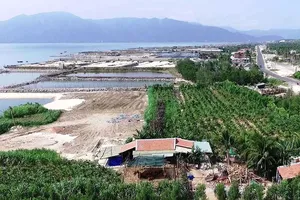 Rừng bần xưa, nay thành nơi phân lô bán nền