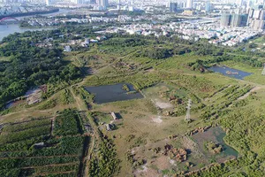 Xử lý các dự án đã có quyết định giao đất, thuê đất