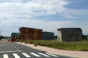 Bình Dương: Kiến nghị thu hồi đất công bị phân lô bán nền trái phép