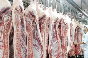 Vissan đổi mới quy trình giết mổ gia súc theo công nghệ hiện đại. Ảnh: THANH HẢI