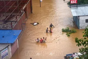 Ảnh minh họa: TTXVN