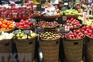 Ảnh minh họa: Ngọc Quang/TTXVN