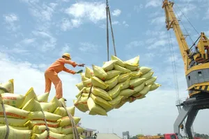 Chính phủ yêu cầu triển khai có hiệu quả Đề án thương hiệu gạo Việt Nam và Chiến lược phát triển thị trường xuất khẩu gạo (Ảnh minh họa)