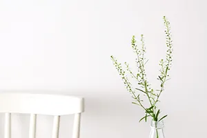 Sản phẩm sữa 3 Con Dê mang đến nguồn dinh dưỡng tốt nhất cho người tiêu dùng