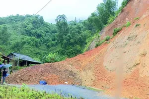 Ảnh minh họa: Nguồn TTXVN