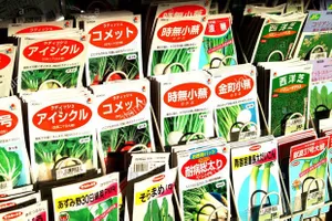 Ảnh minh họa. Nguồn: Alamy