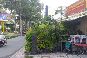 Rào kín vỉa hè để kinh doanh cây cảnh