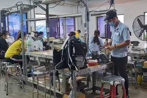 Ảnh minh họa: TTXVN