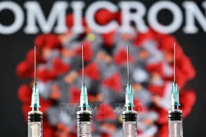 Ảnh minh họa: TTXVN