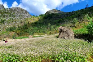 Tôi đi du lịch vùng xanh