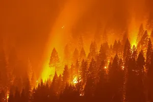 Cháy rừng nhìn từ thị trấn Taylorsville, California, Mỹ. Ảnh: Reuters