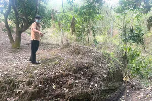 Đất của một hộ dân ở xã Long Tân, huyện Phú Riềng đến nay vẫn chưa được cấp sổ đỏ vì có nguồn gốc tách ra từ lâm phần