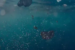 Panama công bố chiến lược chống ô nhiễm đại dương