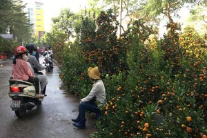 Hà Nội: Nhộn nhịp chợ hoa, siêu thị