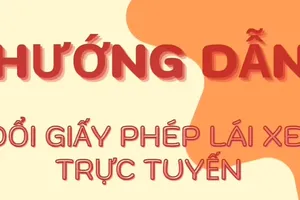 Hướng dẫn cách đổi giấy phép lái xe trực tuyến