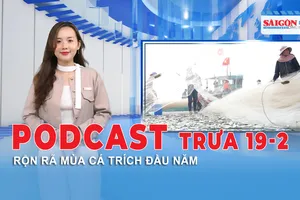 Podcast tin trưa 19-2: Rộn rã mùa cá trích đầu năm