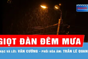 Giọt Đàn Đêm Mưa