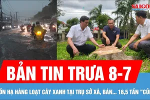 Bản tin trưa 8-7: Cảnh báo mưa dông ở Nam bộ | Đốn hạ cây xanh tại trụ sở xã, bán... 16,5 tấn "củi"