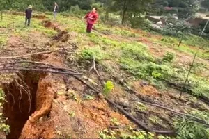 Hiện trường ngọn đồi xuất hiện vết nứt, sụt lún ở thôn Quyết Thắng, xã Sơn Kim 2 