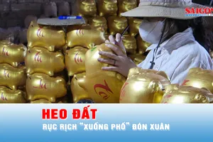 Podcast: Heo đất rục rịch “xuống phố” đón xuân