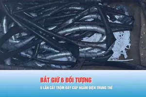 Podcast bản tin tối 25-1: Bắt nhóm đối tượng 6 lần cắt trộm dây cáp ngầm điện trung thế