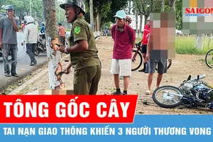 Đắk Lắk: Xe máy chở 3 tông vào gốc cây, 2 người tử vong