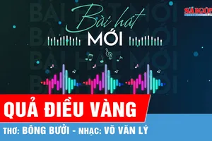 Quả điều vàng
