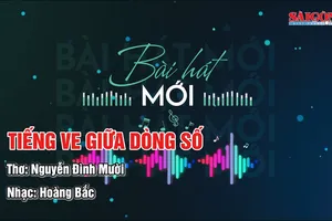 Tiếng ve giữa dòng số