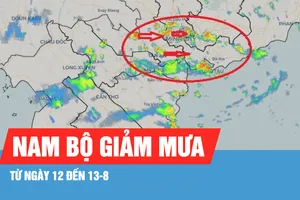 Podcast bản tin tối 11-8: Từ ngày 12-8, mưa tại Nam bộ giảm dần