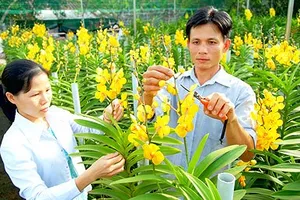 Phấn đấu 100% xã tại huyện Củ Chi đạt tiêu chuẩn nông thôn mới vào năm 2019