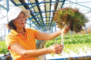 Nông nghiệp bền vững phải gắn với khoa học công nghệ