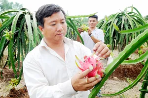 Đẩy mạnh xuất khẩu chính ngạch nông sản vào thị trường khó tính