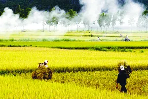 Nhớ khói đốt đồng cay mắt