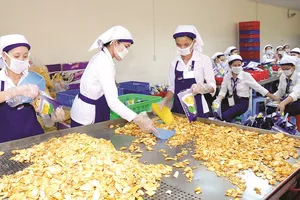 E ngại chính sách thay đổi, hồi tố