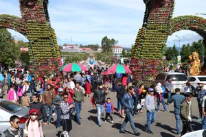 Số lượng khách du xuân Tết Kỷ Hợi tăng cao