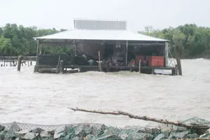 Tăng cường phối hợp trong ứng phó với các thảm họa