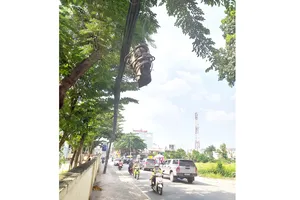 Khúc gỗ treo lủng lẳng, hiểm nguy rình rập