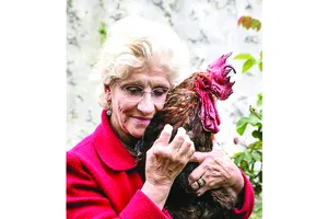 Bảo vệ âm thanh đồng quê