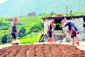 Tour du lịch “lên rừng, xuống biển” hút khách dịp tết 2020