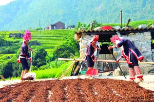 Đường lên mốc biên giới Bình Liêu. Ảnh: TRẦN THẾ DŨNG