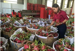 Tìm thị trường tiêu thụ nông - thủy sản