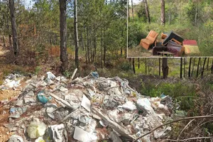 Đổ rác vào rừng