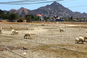 Nam Trung bộ thiếu nước