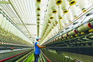 Giao dịch thương mại Việt Nam - EU: Bắt nhịp sôi động