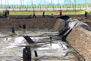 Bãi cọc cổ ở Hải Phòng - Nhiều bí ẩn cần được khám phá