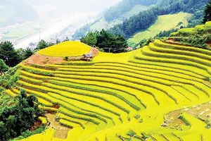 Xây dựng sản phẩm du lịch chuyên biệt 