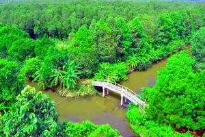 Năng động trên đường phát triển