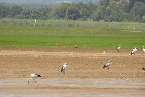 Chưa di dời dân ra khỏi Khu bảo tồn thiên nhiên - văn hóa Đồng Nai